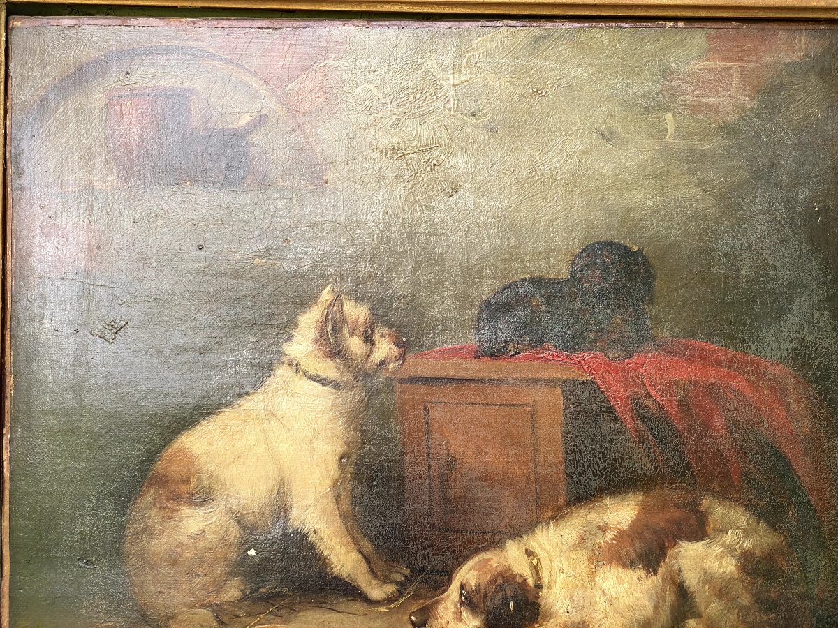 Trois chiens dans une écurie signé; George  Armfield,(1808 -Londres-1893) -photo-3