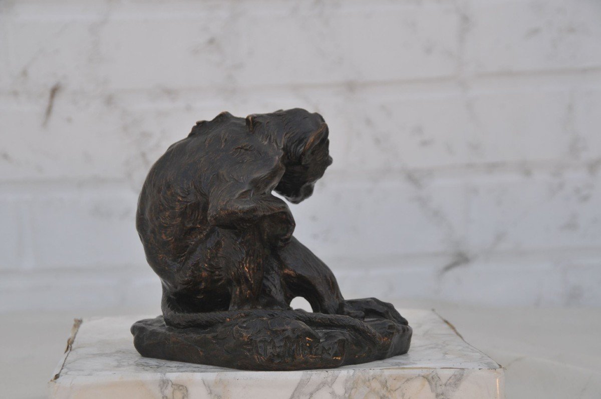 Maurice Roger Marx (1872-1956), Sitting Monkey-photo-4