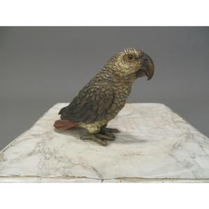 Vienna Bronze Parrot Signed