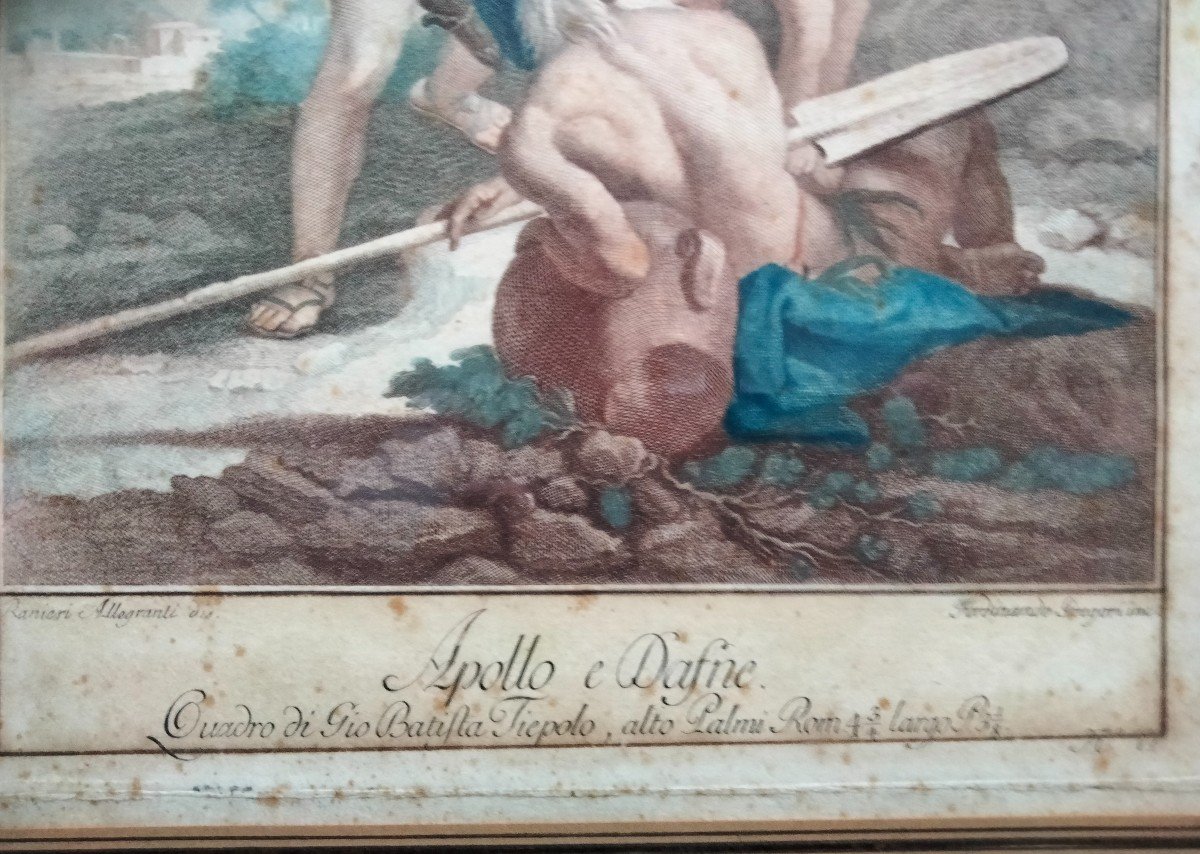 Gravure De Fernando Gregori  - Apollo E Dafné d'Après Tiepolo XVIIIe-photo-1