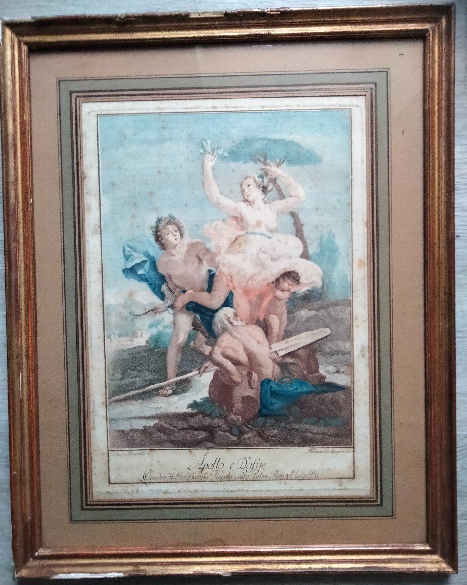 Gravure De Fernando Gregori  - Apollo E Dafné d'Après Tiepolo XVIIIe