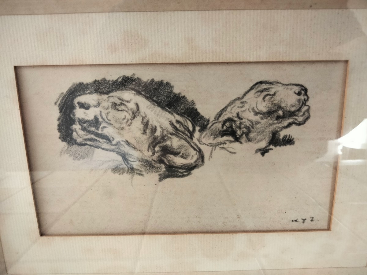 Fusain de Ker Xavier Roussel - Etude de panthère ou lionne-photo-2