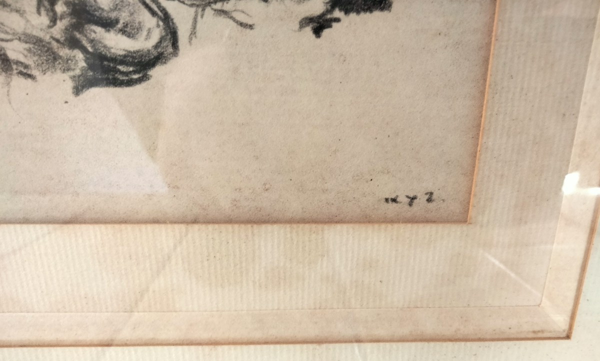 Fusain de Ker Xavier Roussel - Etude de panthère ou lionne-photo-4