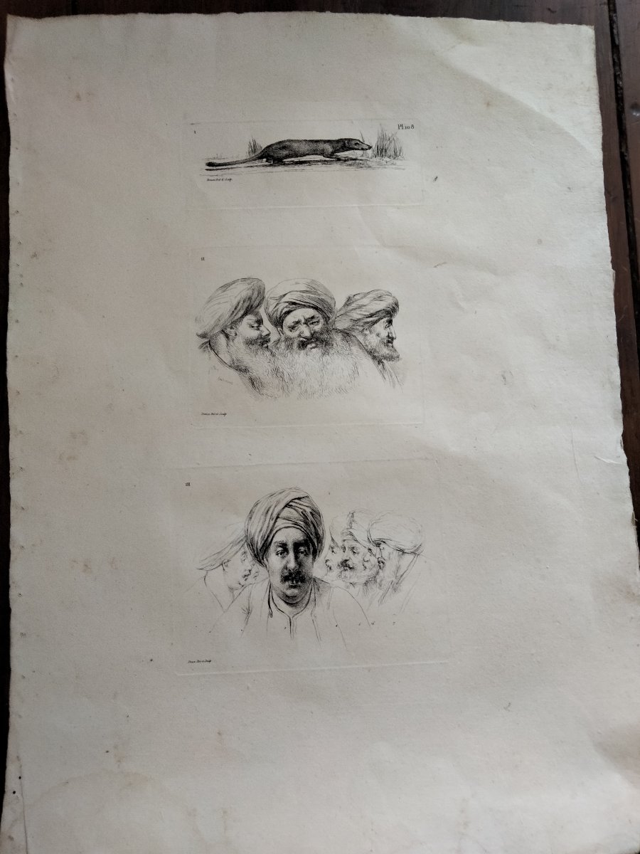 Lot 5 Gravures Vivant Denon - Voyage en basse et Haute Egypte XIXe-photo-4