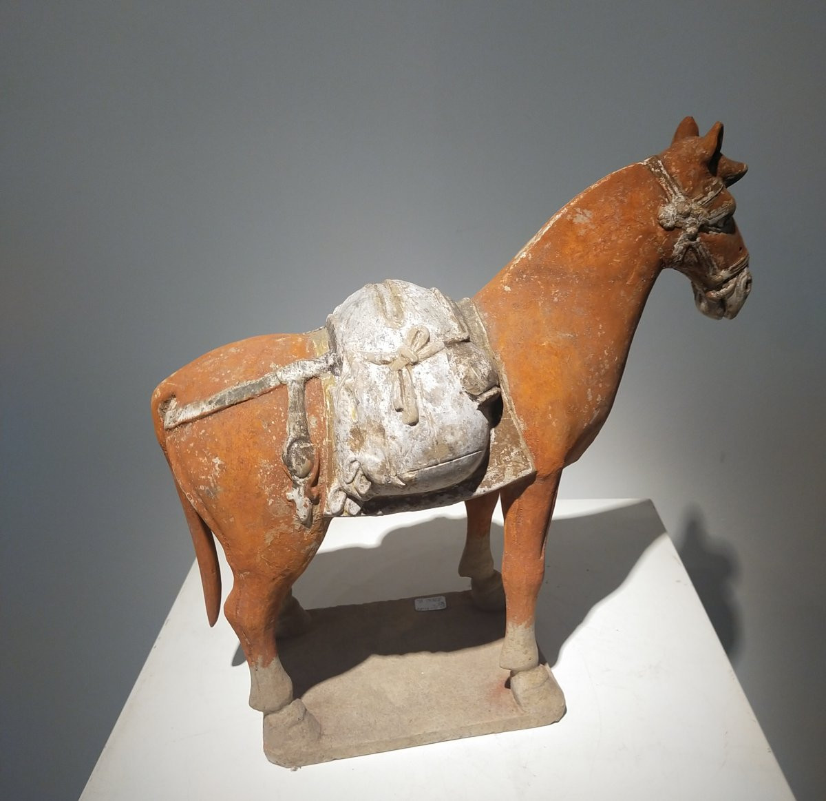Terracotta Horse Returning From The Hunt From The Northern Qi Period, China 6th Century.-photo-4