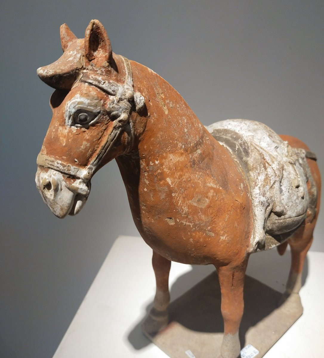 Terracotta Horse Returning From The Hunt From The Northern Qi Period, China 6th Century.-photo-5