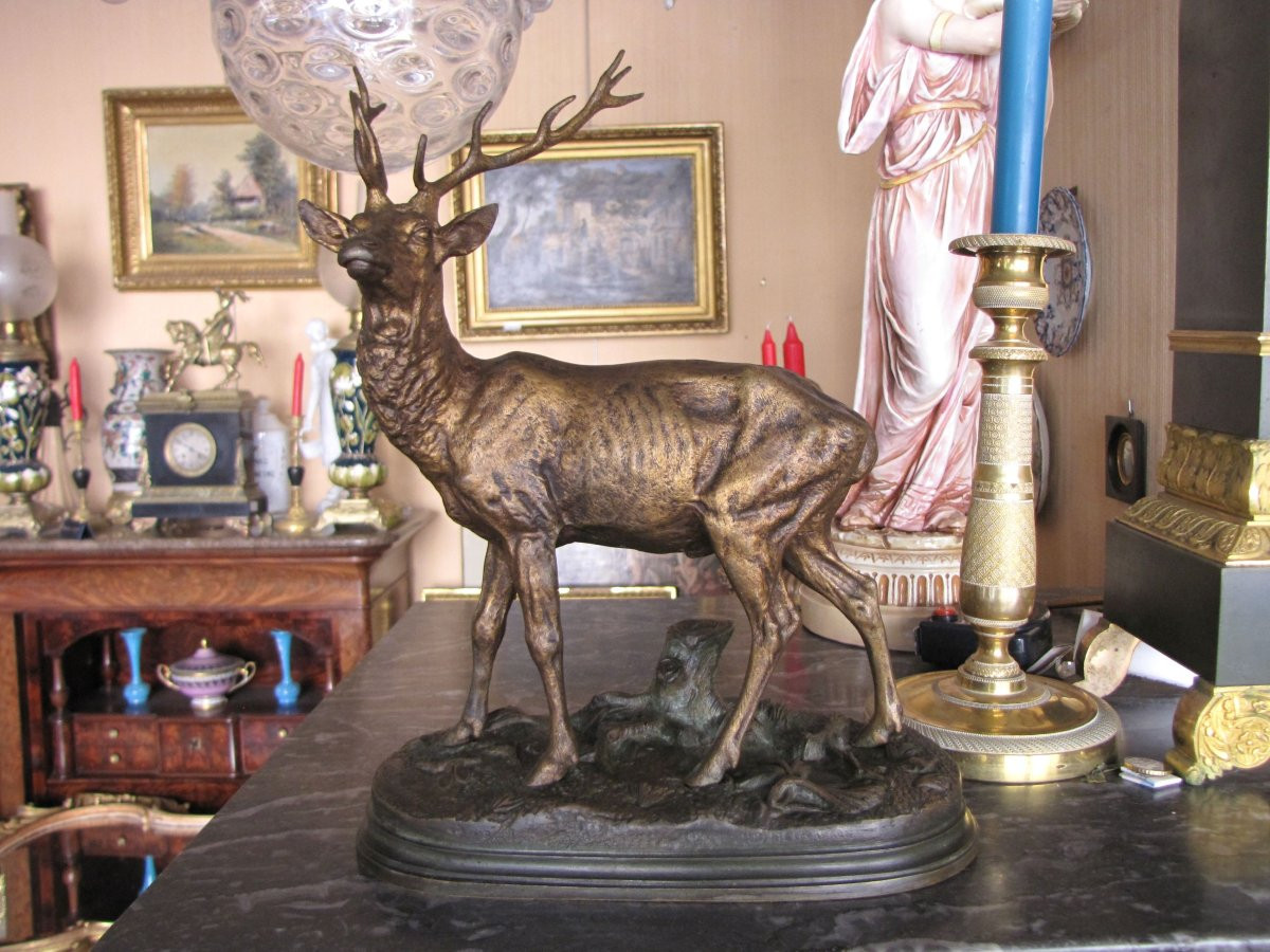 Deer By Dubucand-photo-4