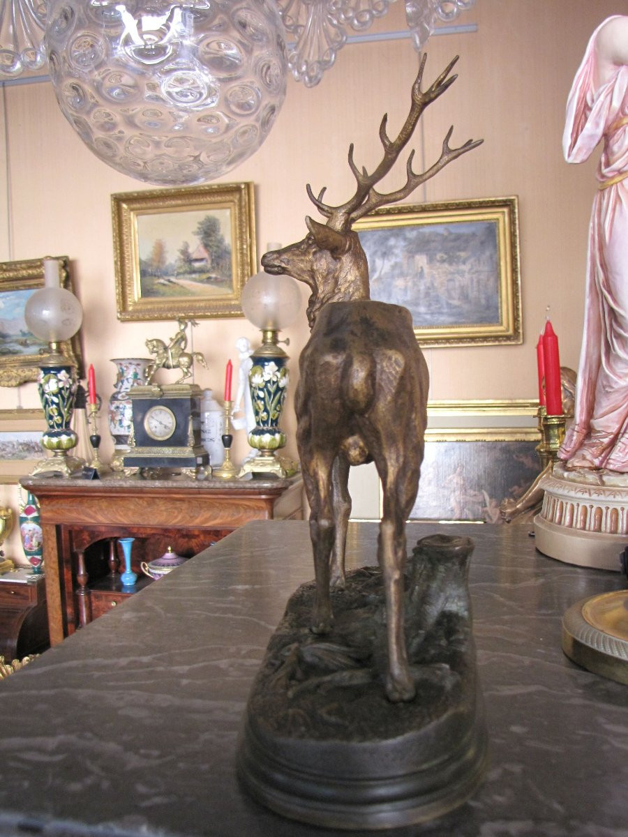 Deer By Dubucand-photo-1