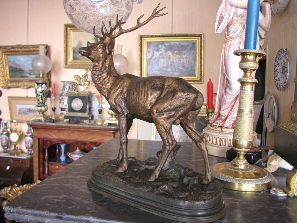 Deer By Dubucand