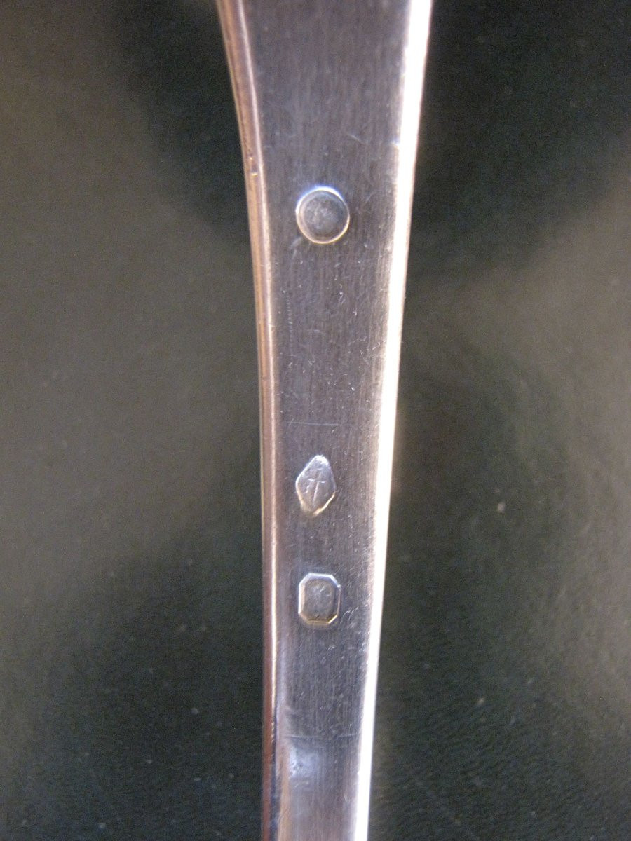 Silver Ladle-photo-3