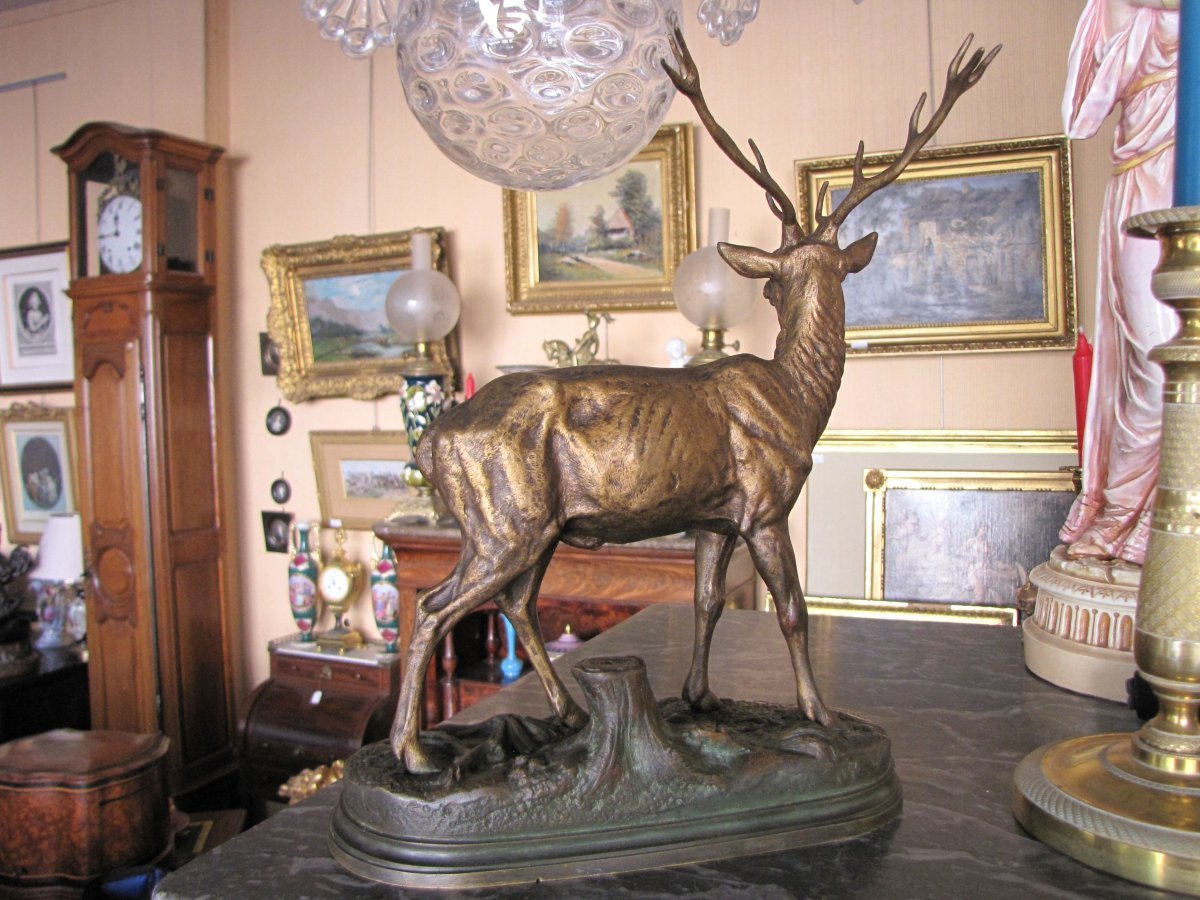 Cerf en bronze-photo-1