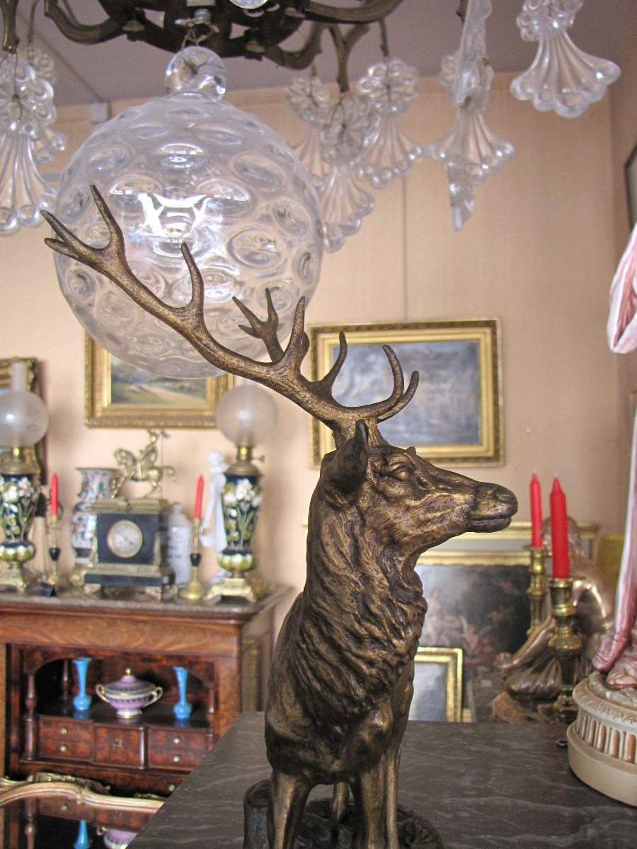 Cerf en bronze-photo-2