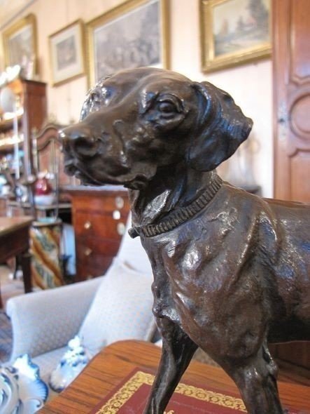 Chien par MENE-photo-1