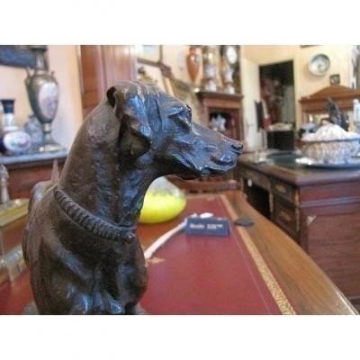 Chien par MENE-photo-2
