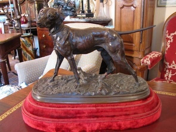 Chien par MENE