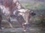 1826184-alb-6ab387d63fac0.jpg