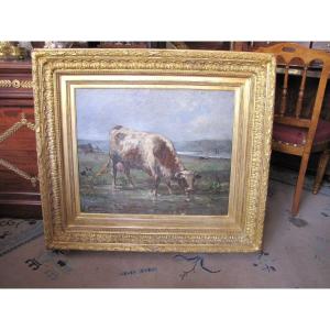 vache auu pré