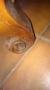 1837998-alb-6acf55fd1638f.jpg