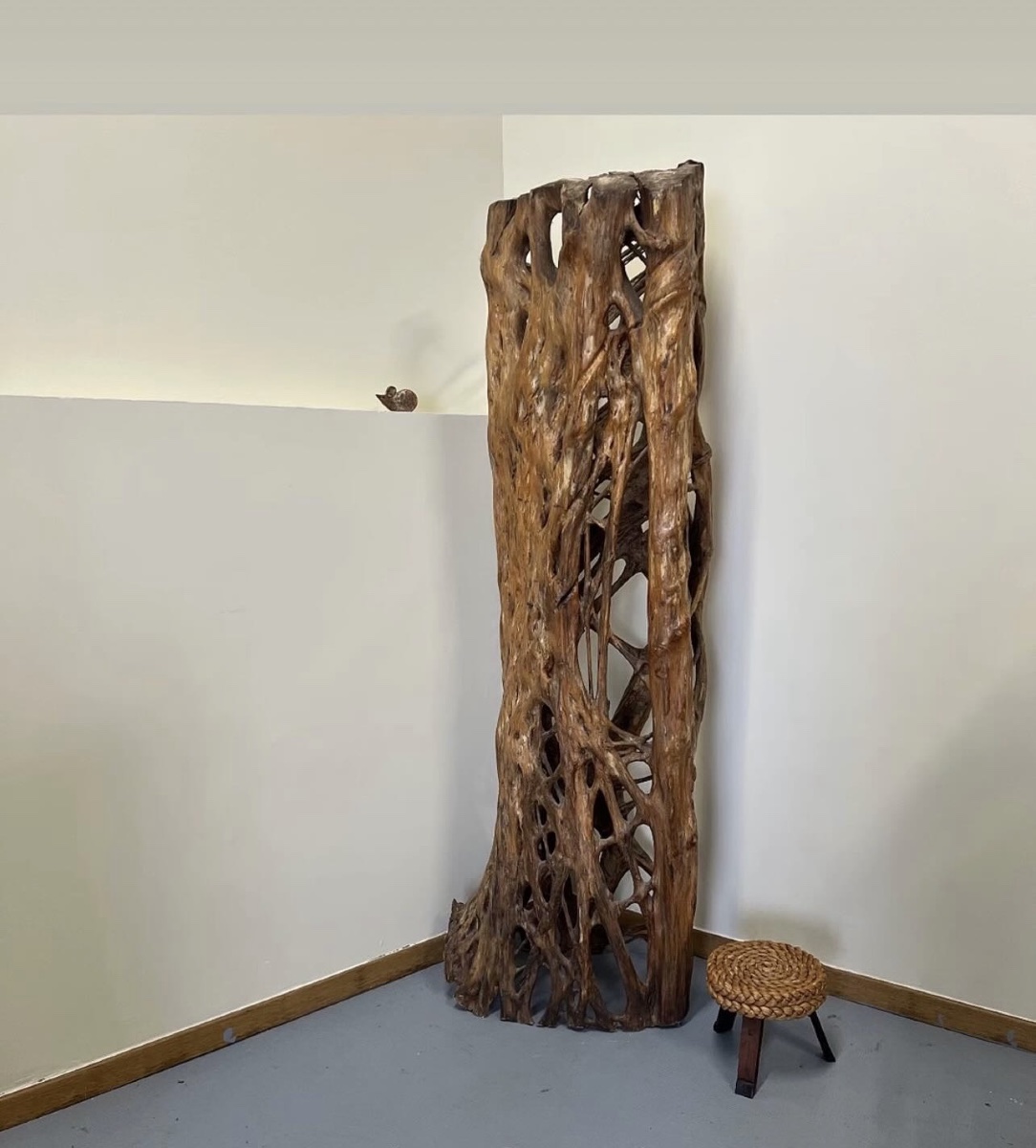 Grand bois séché de Figuier 
