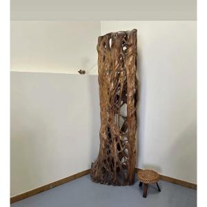 Grand bois séché de Figuier 