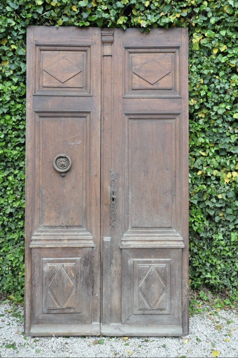 Walnut Front Door To Restore 
