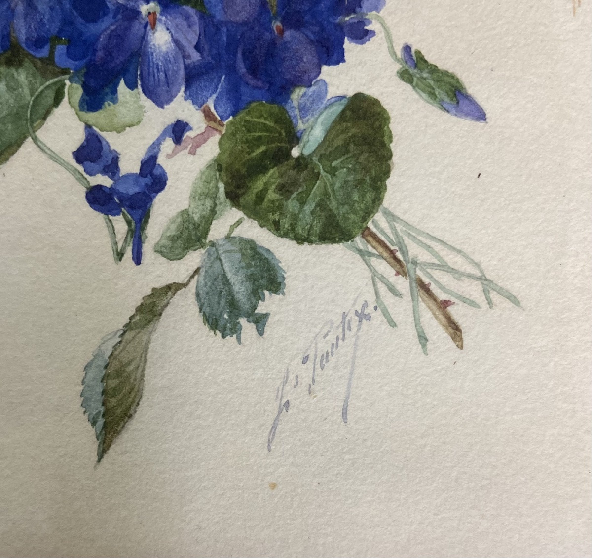 Louis Pautex, bouquet de Violettes à la rose jaune. Aquarelle Miniature-photo-3