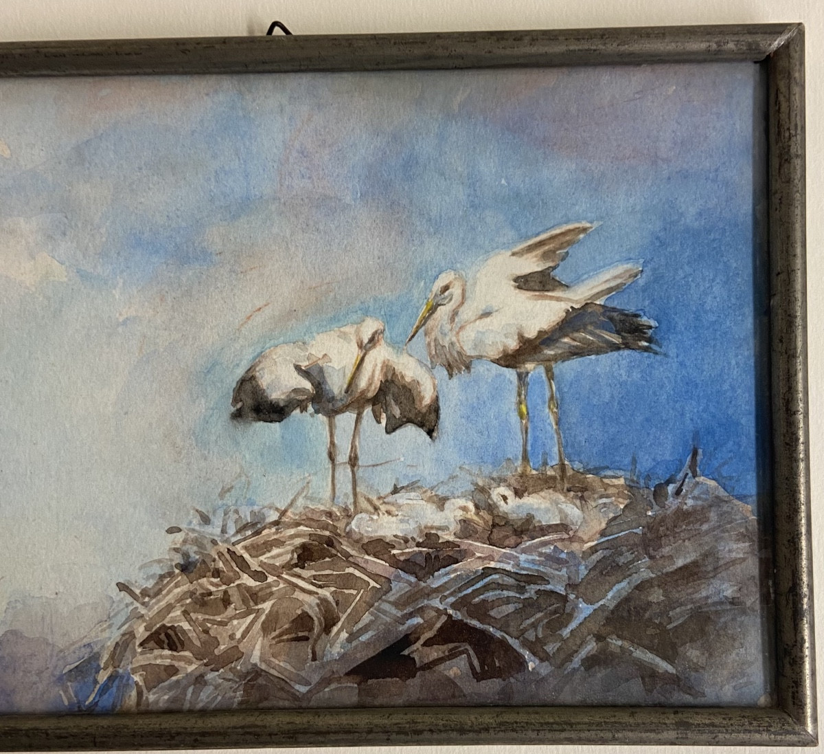 The Nest, The Storks, And The Chicks. Watercolor Signed Apg Alsace Strasbourg-photo-2