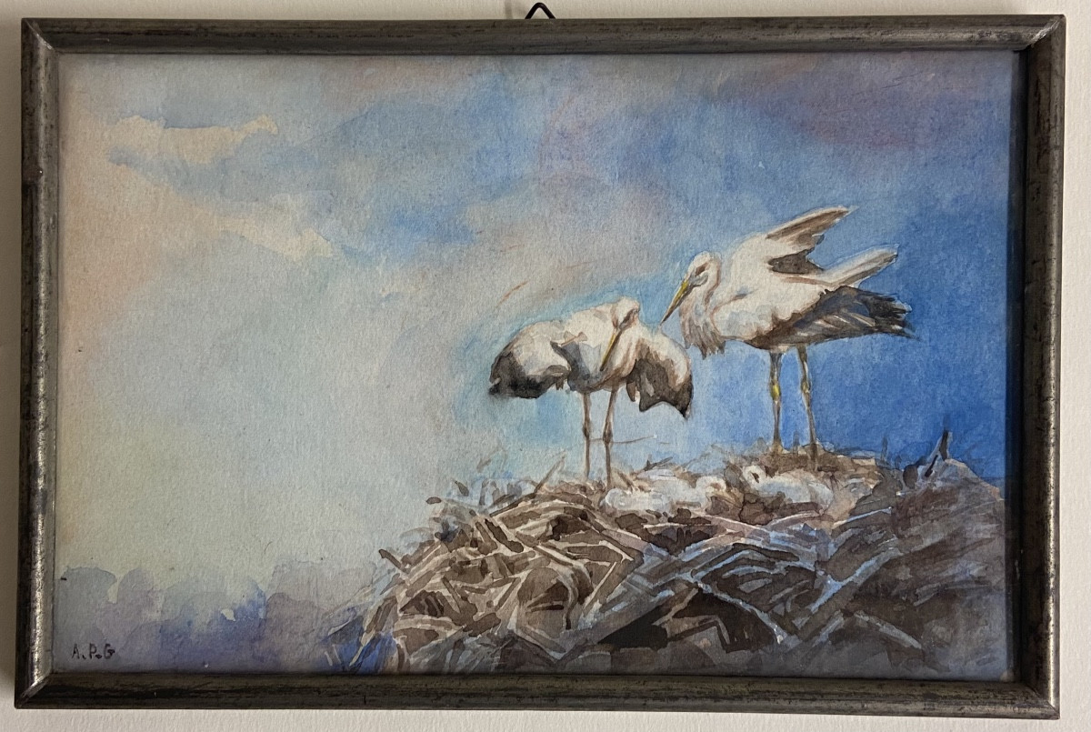 The Nest, The Storks, And The Chicks. Watercolor Signed Apg Alsace Strasbourg