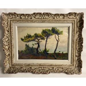 Michel Colle, The Pines Of Beaulieu, In Quimiac, 1922. Penestin, Piriac