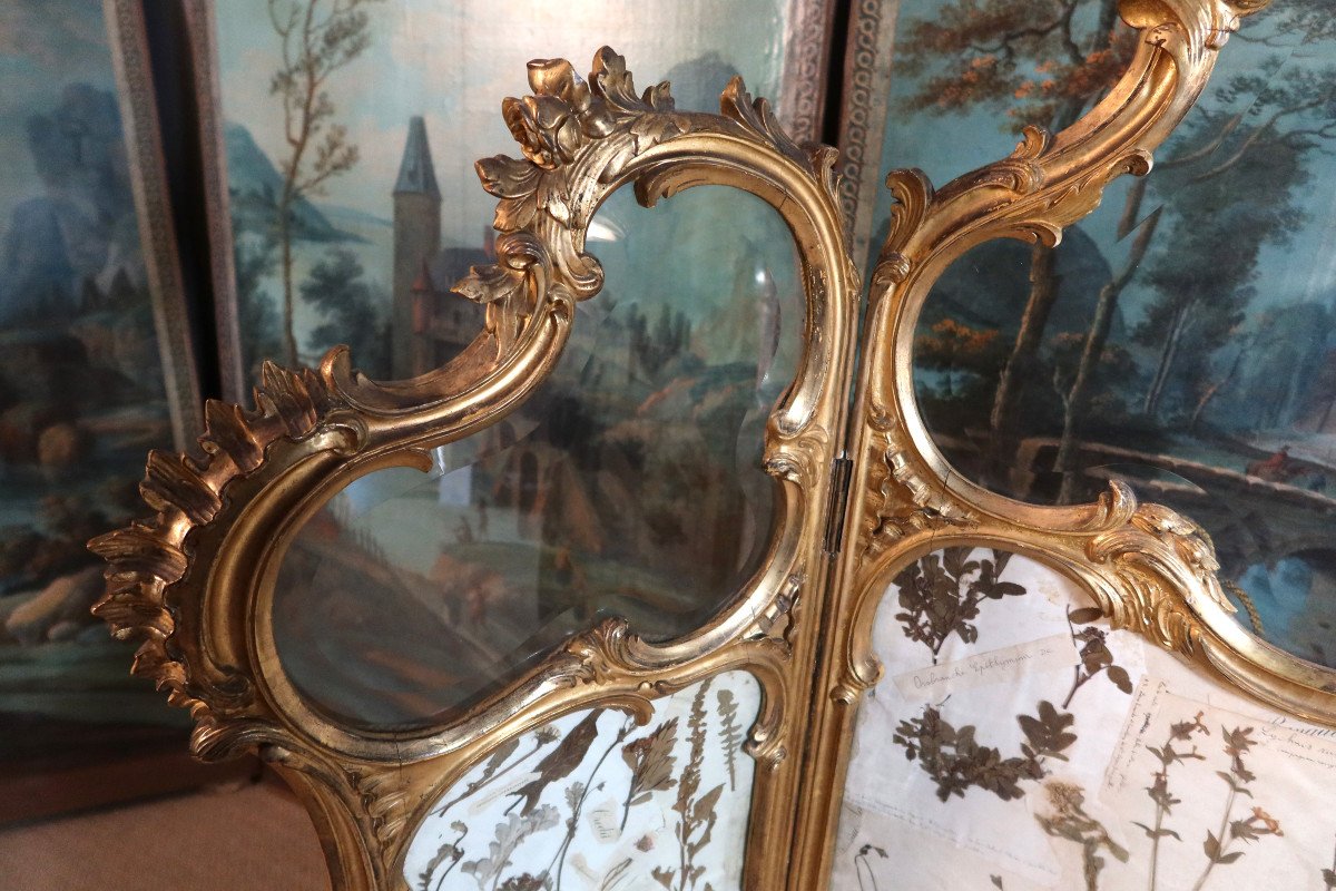 Louis XV Style Gilded Wood Screen-photo-1