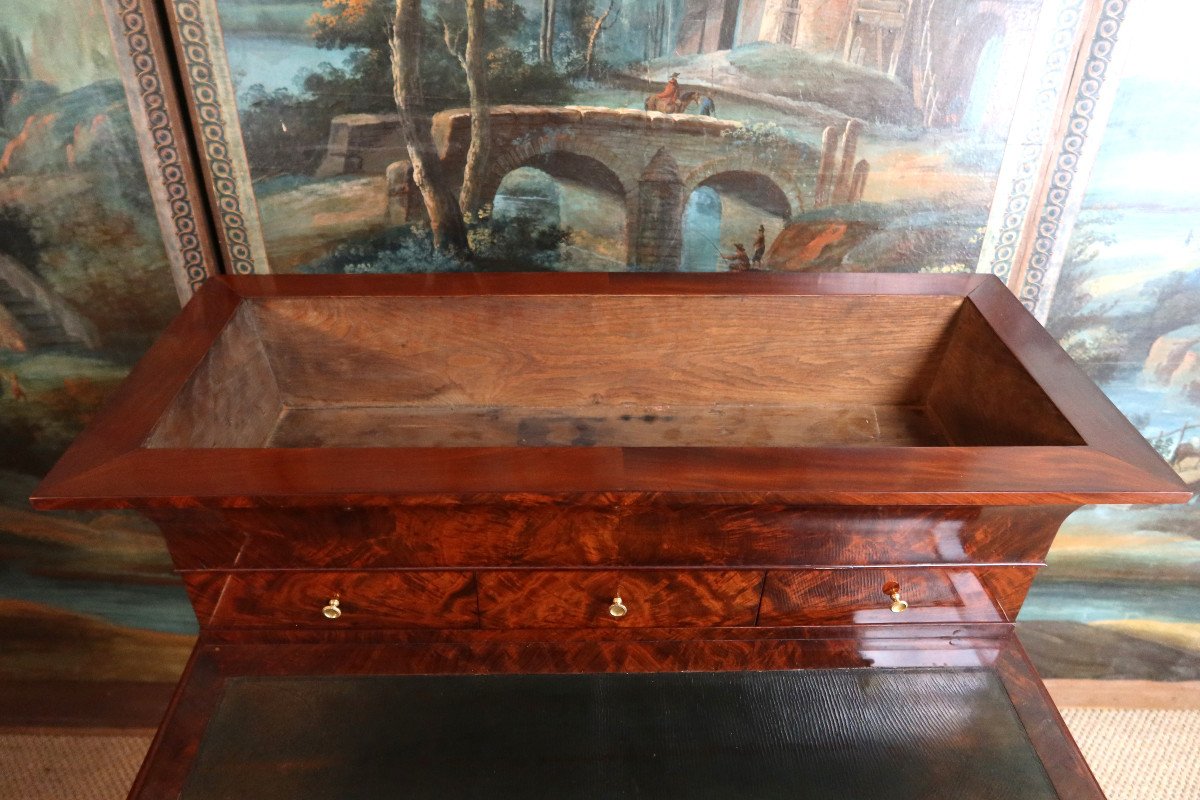 Mahogany Desk Forming A Planter-photo-6