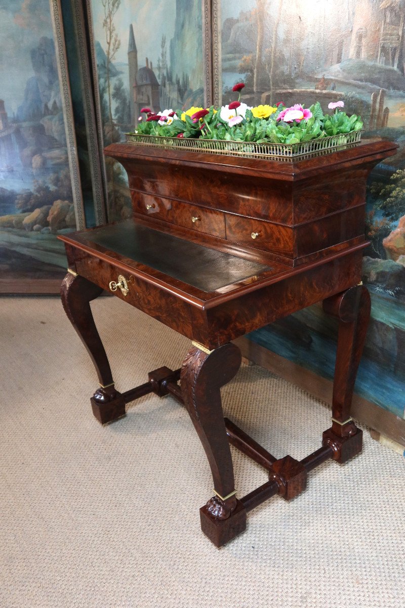 Mahogany Desk Forming A Planter