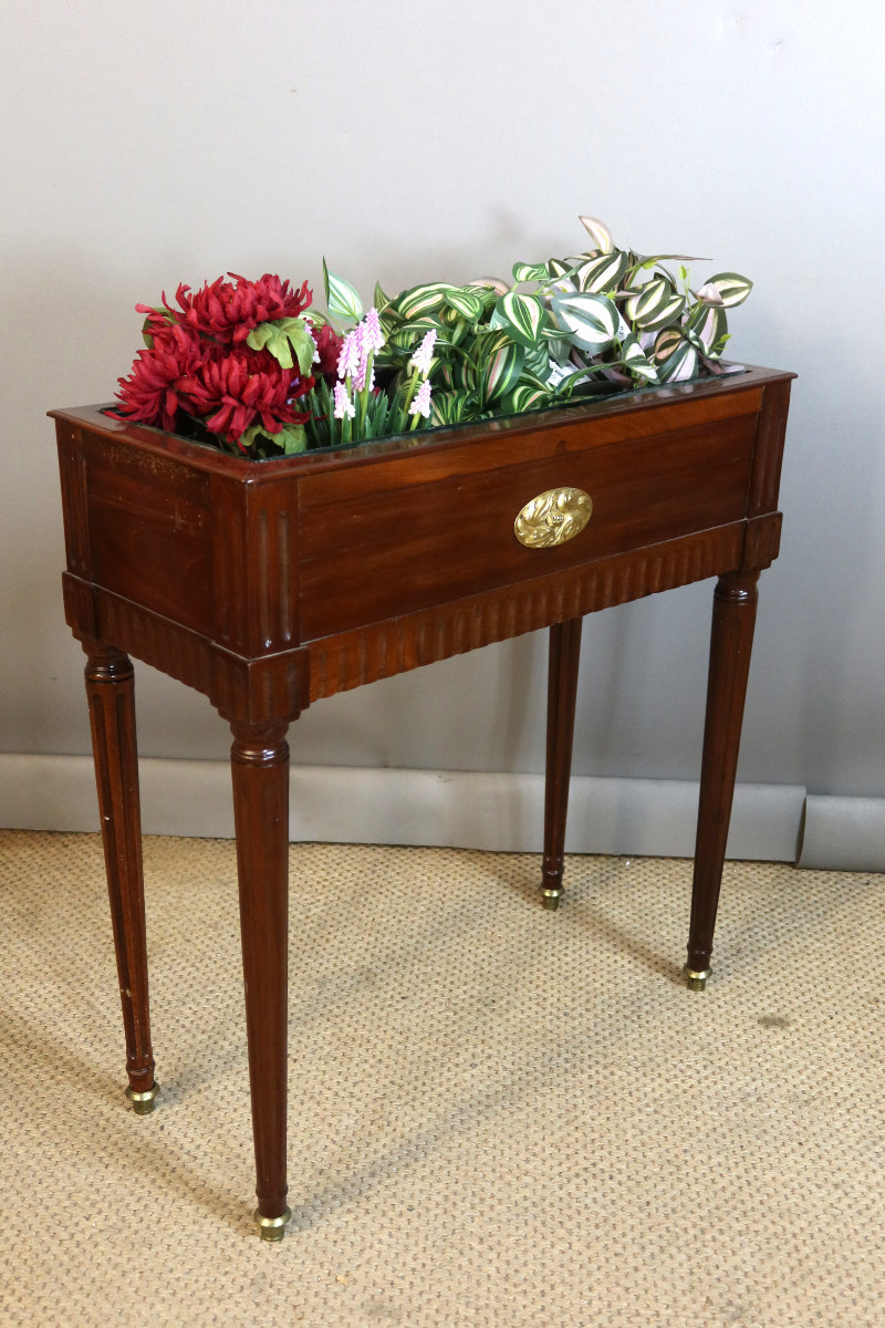 Jardinière en acajou style Louis XVI