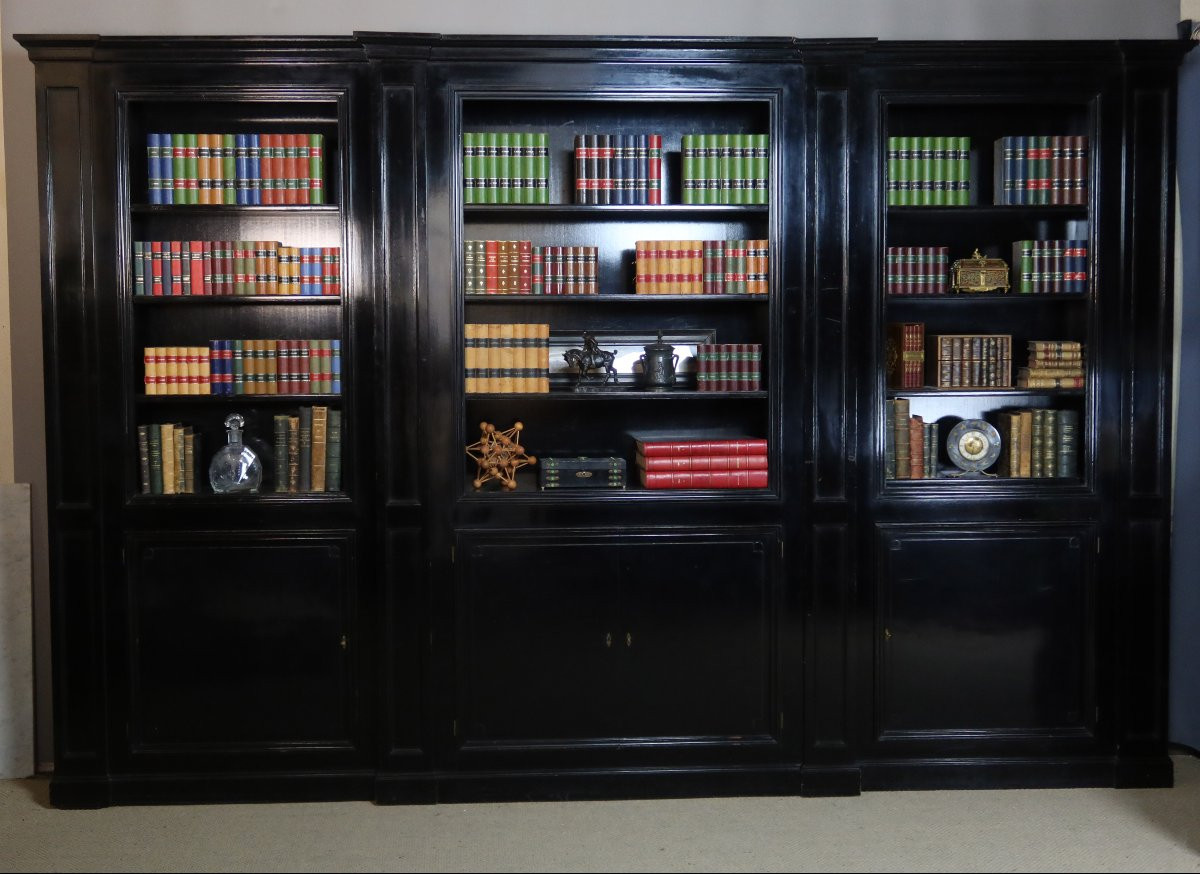 Large Library At Maison Jansen-photo-6