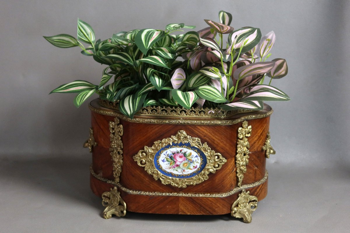19th-century Planter-photo-2
