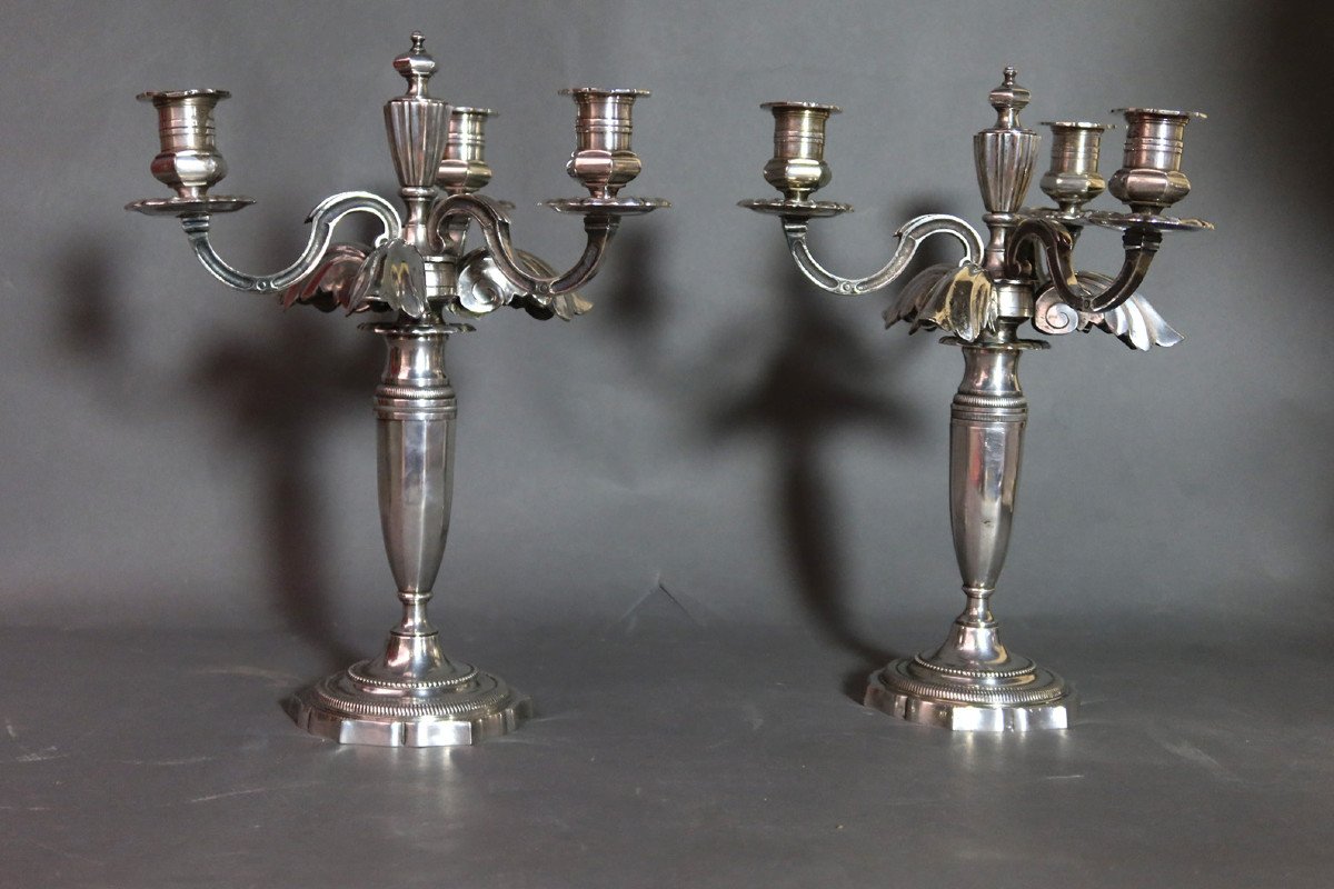 Pair Of Candelabra In Silver Metal And Lights-photo-1