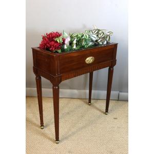 Mahogany Planter In The Louis XVI Style