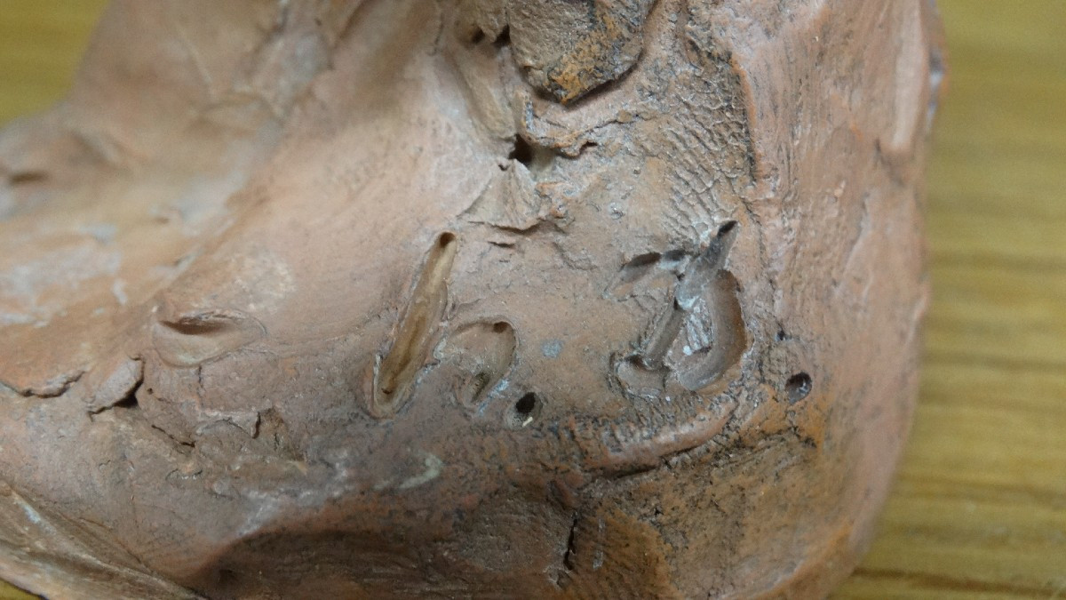 Terracotta Figures, Proofs By Honoré Daumier -photo-1