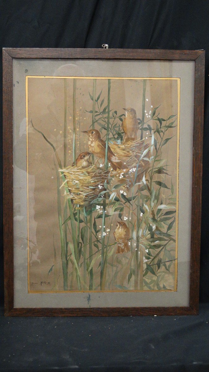 Birds In The Nest Watercolor By Jeanne Notte 1894