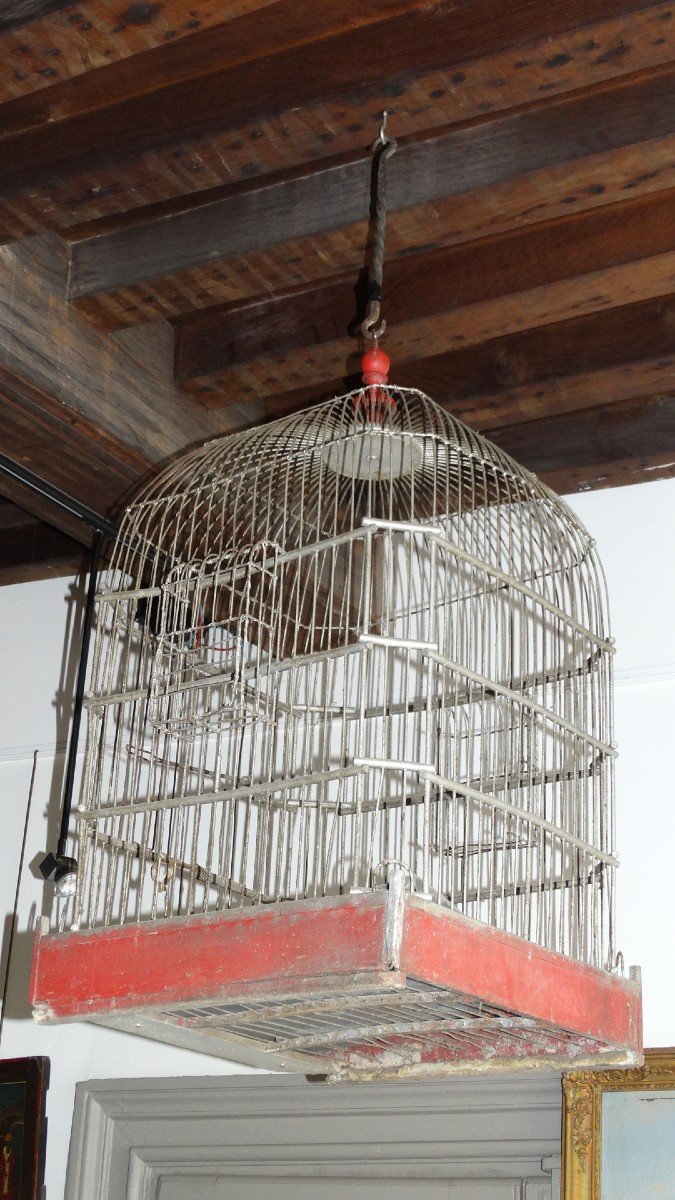 Cage à Oiseaux époque 1900