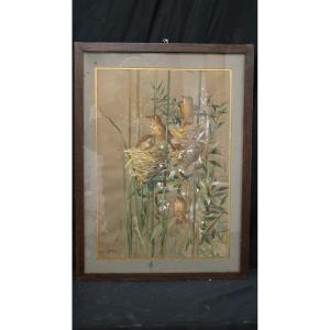 Oiseaux au nid aquarelle par Jeanne Notte 1894