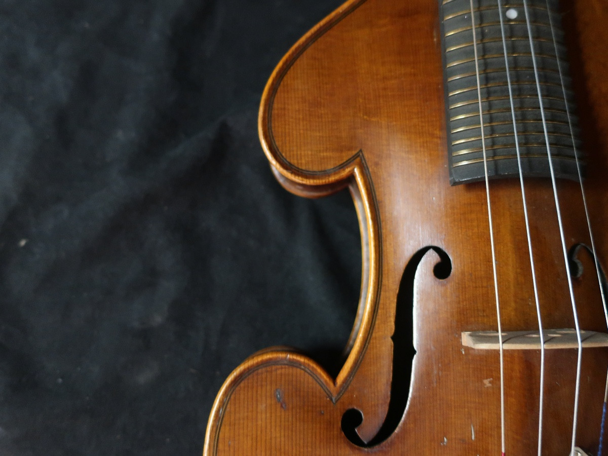 Bowed Zither Circa 1880-photo-5