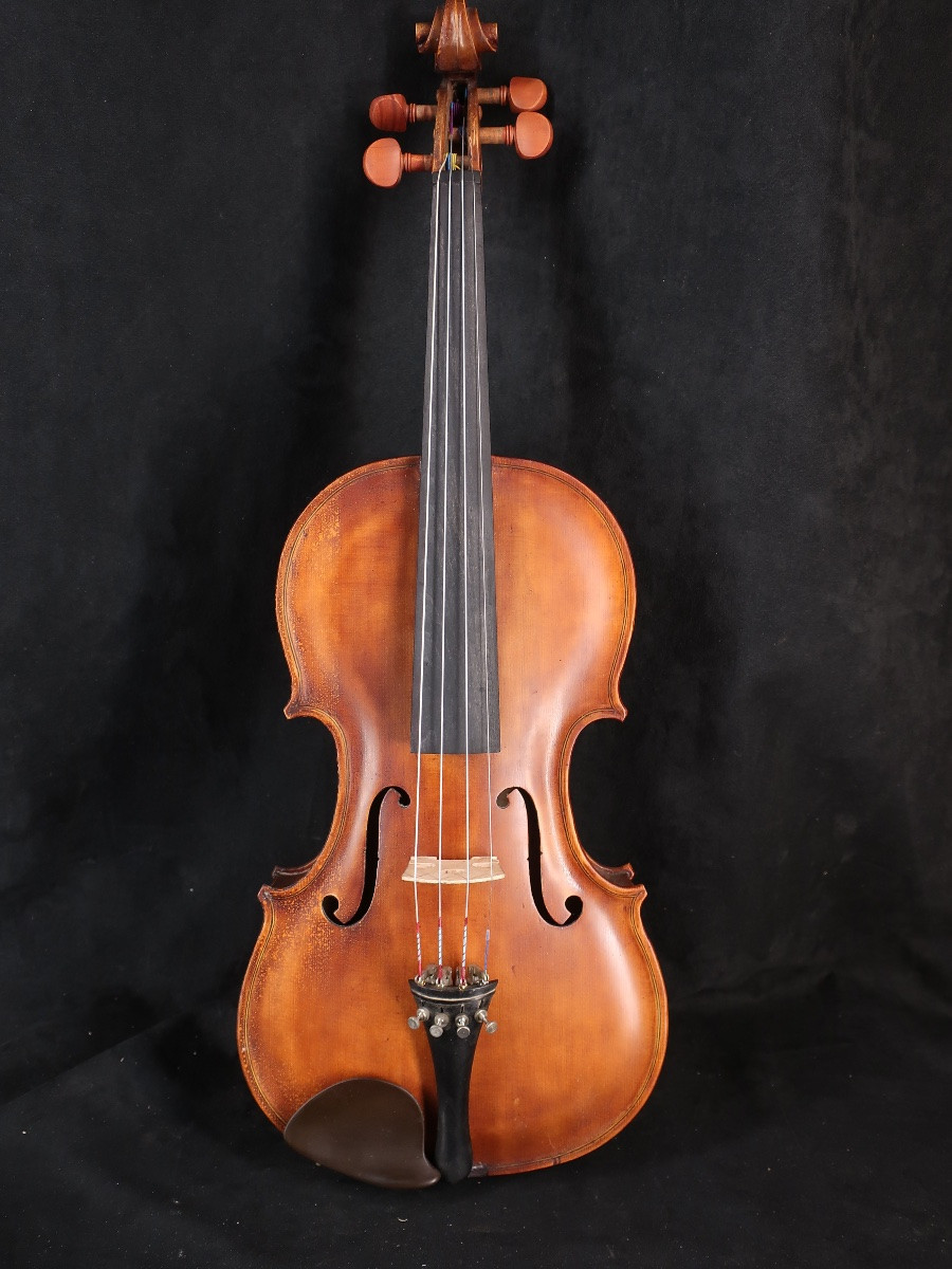 Violin Carved With The Image Of Django Reinhard. Musical Instrument-photo-3