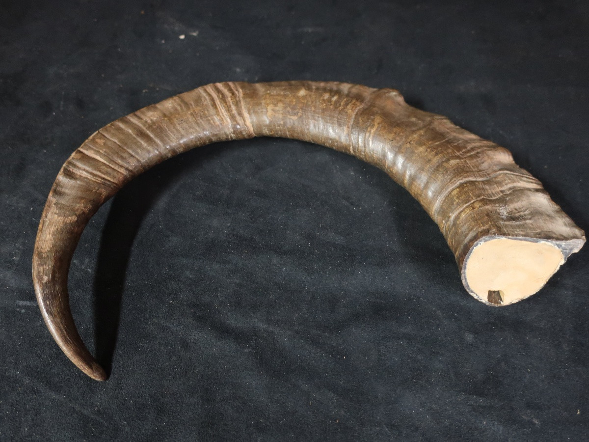 7 Hole Pavana Horn Flute - Musical Instrument-photo-3