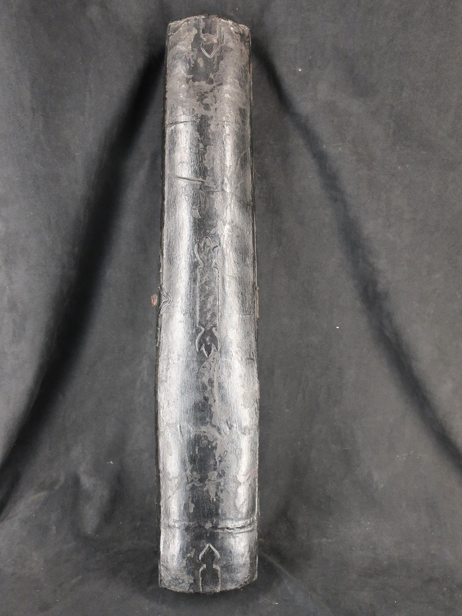 Viele monocorde à tête amovible de barbu- instrument de musique-photo-8