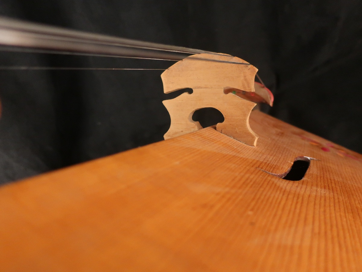 Vièle à 6 cordes années 50 taille cello en housse et archet- instrument de musique-photo-4
