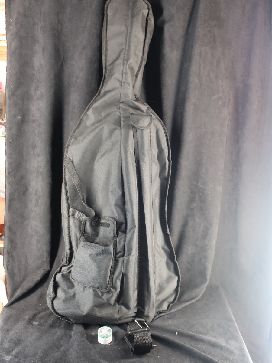 Vièle à 6 cordes années 50 taille cello en housse et archet- instrument de musique-photo-6