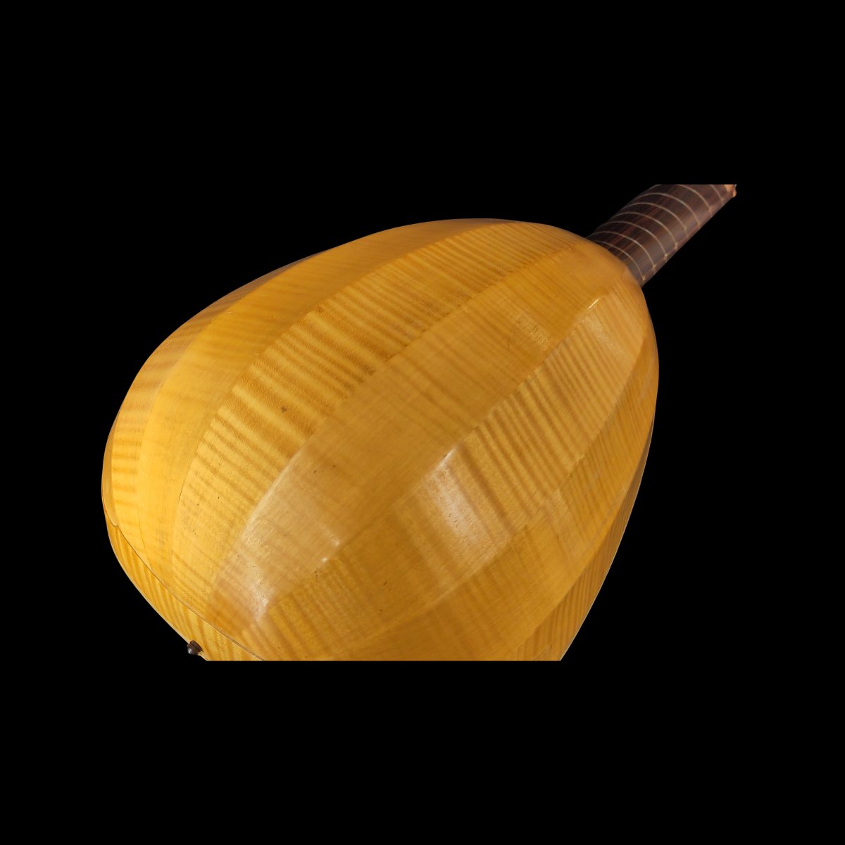 Luth renaissance 8 choeurs-photo-4