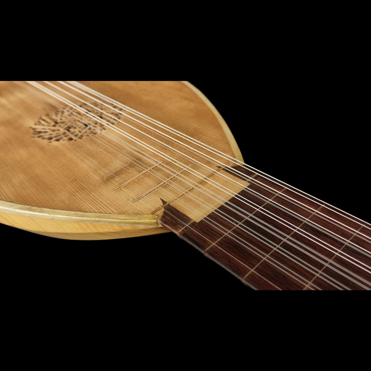 Luth renaissance 8 choeurs-photo-1