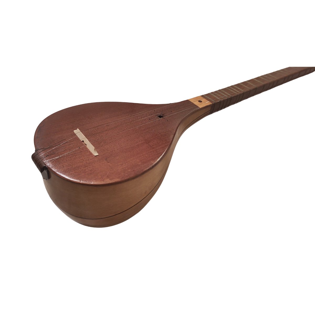 Setar iranien-photo-3